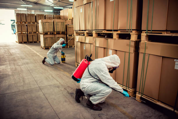 Best Pest Prevention Services  in Dayton, MN