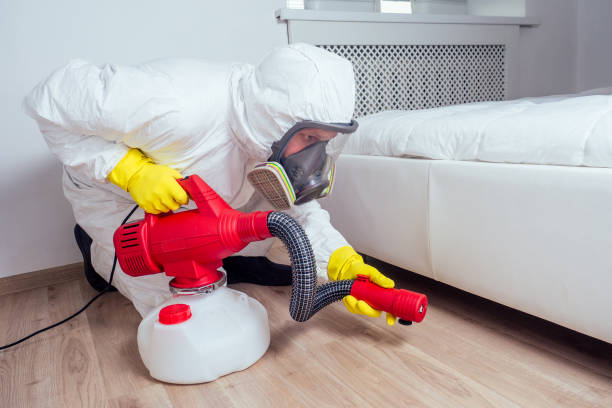 Pest Control Cost in Dayton, MN