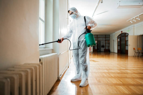 Best Bed Bug Extermination  in Dayton, MN