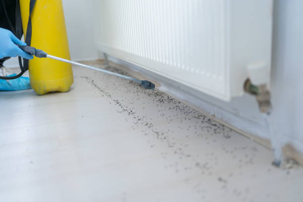 Dayton, MN Pest Control Company