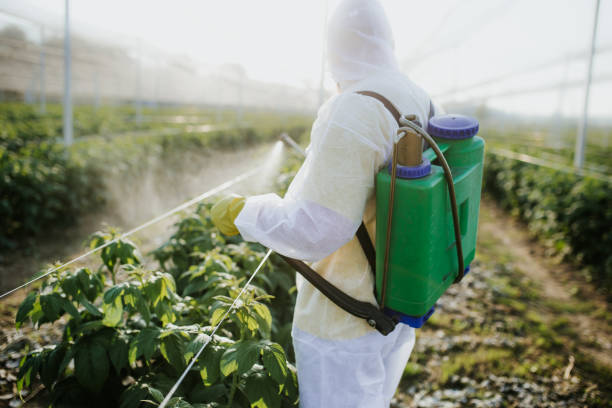 Best Emergency Pest Control  in Dayton, MN